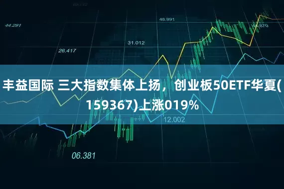 丰益国际 三大指数集体上扬，创业板50ETF华夏(159367)上涨019%