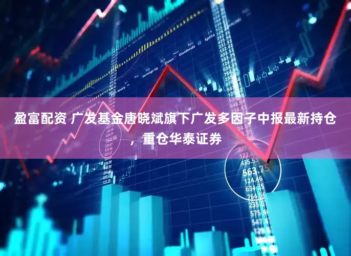 盈富配资 广发基金唐晓斌旗下广发多因子中报最新持仓，重仓华泰证券
